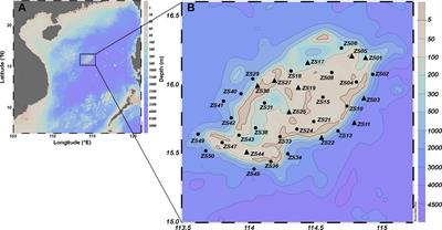 Planktonic carbon metabolism of an underwater coral atoll in the oligotrophic sea: a case study of Zhongsha Atoll, Central South China Sea